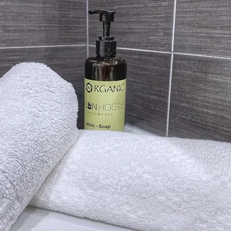 Vt Flat Reformado Con Escritorio De Trabajo Y Wifi * Bilbao