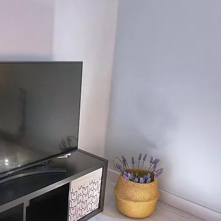 Vt Flat Reformado Con Escritorio De Trabajo Y Wifi Apartmán