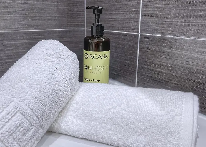 Urban Flat Reformado Con Escritorio Trabajo Y Wifi * Bilbao